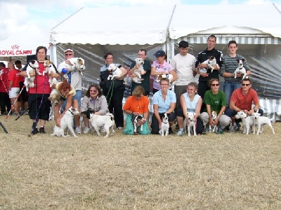 De pepper harrow - championnat de FRANCE d'AGILITY des RUSSELLS TERRIERS 