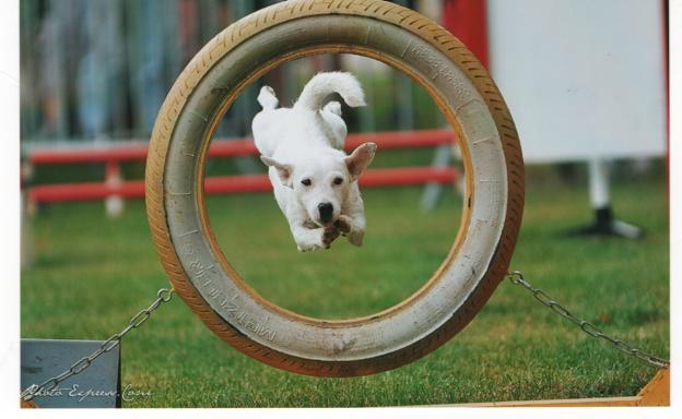 C la ouate De pepper harrow